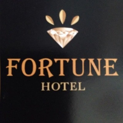 Hôtel Fortune